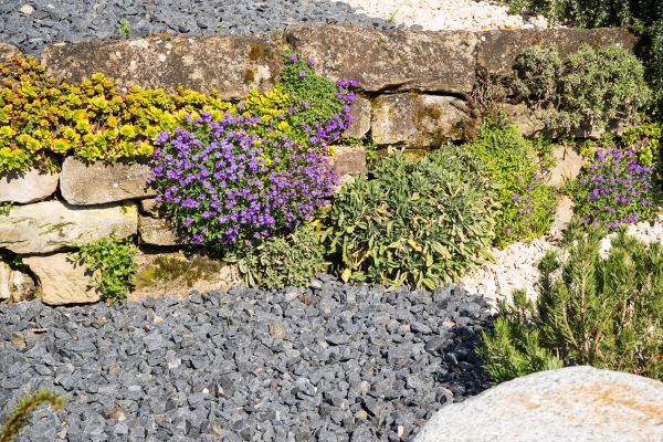 Landscaping Rocks Installation in Sparks