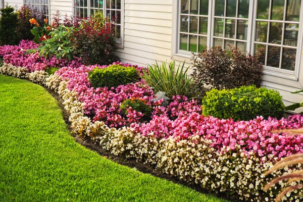 Garden Landscape Design in Sparks