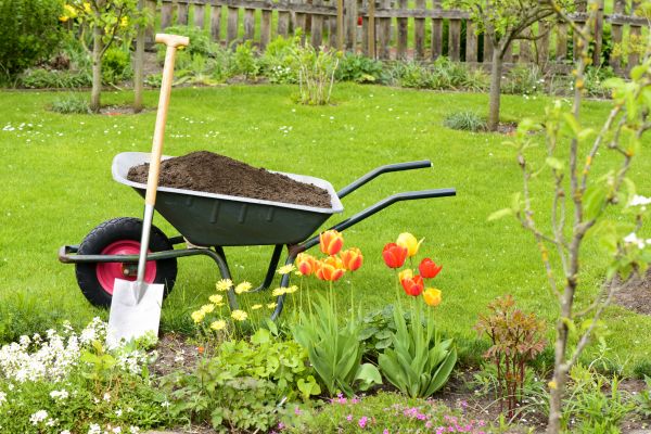 Spring Yard Renovation in Sparks