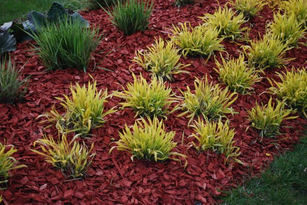 Red Mulch Installation in Sparks