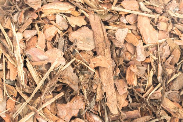 Bark Mulch Installation in Sparks