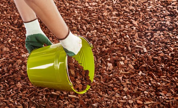 Wood Chip Landscaping in Sparks