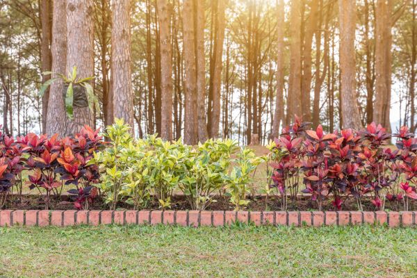 Small Garden Landscaping in Sparks