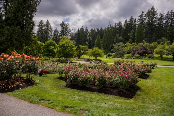 Flower Garden Landscaping in Sparks