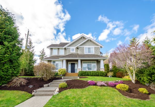 Landscaping Replacement in Sparks