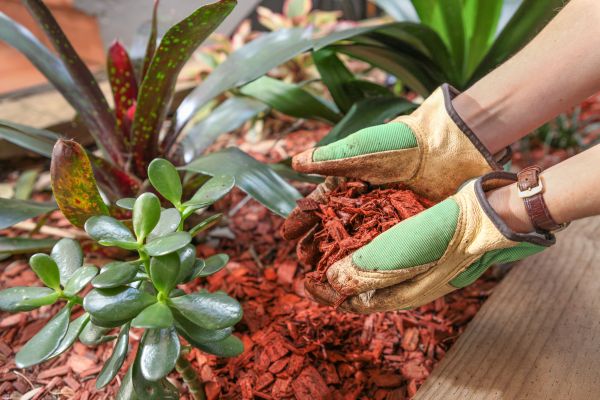 Cedar Mulch Installation in Sparks
