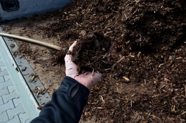 Condo Mulching in Sparks