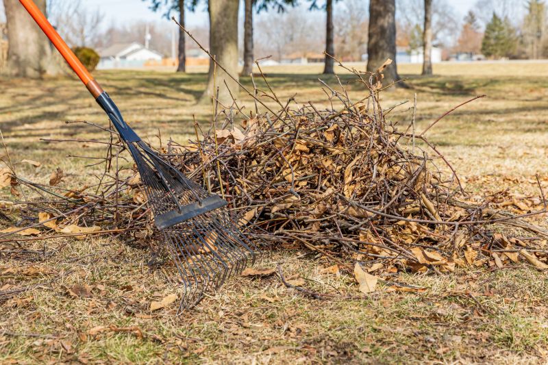 Autumn Leaf Cleanup